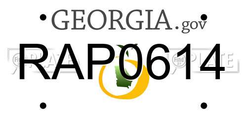 RAP0614 Georgia License Plate