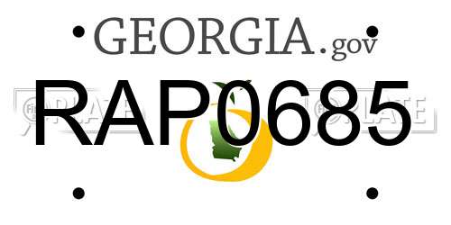 RAP0685 Georgia License Plate