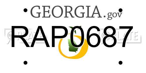 RAP0687 Georgia License Plate