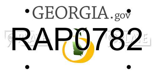 RAP0782 Georgia License Plate