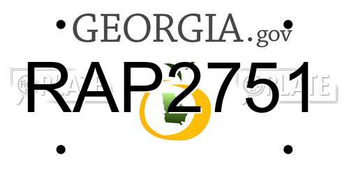 RAP2751 Georgia License Plate