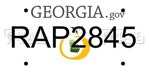 RAP2845 Georgia License Plate