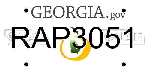 RAP3051 Georgia License Plate