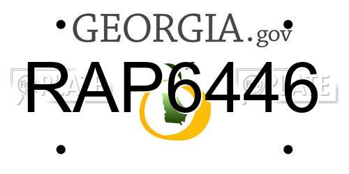 RAP6446 Georgia License Plate