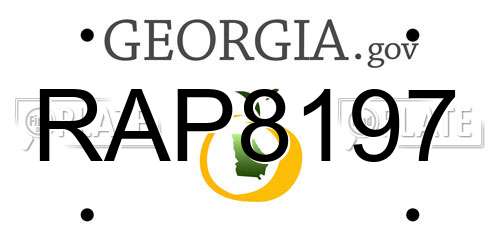 RAP8197 Georgia License Plate