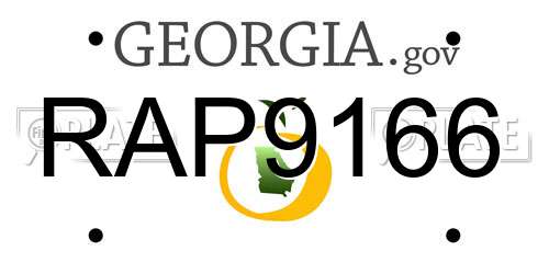 RAP9166 Georgia License Plate