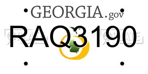 RAQ3190 Georgia License Plate
