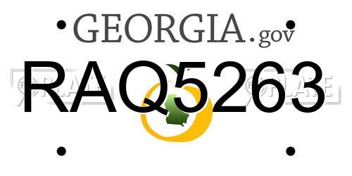 RAQ5263 Georgia License Plate