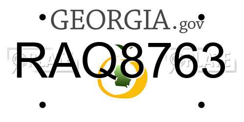 RAQ8763 Georgia License Plate