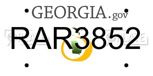 RAR3852 Georgia License Plate