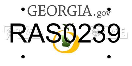 RAS0239 Georgia License Plate