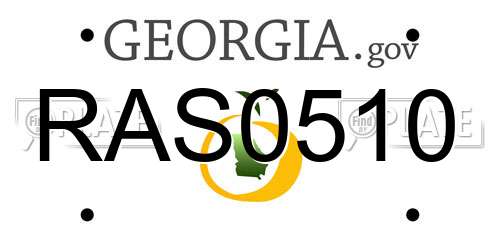 RAS0510 Georgia License Plate