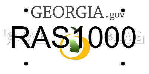RAS1000 Georgia License Plate
