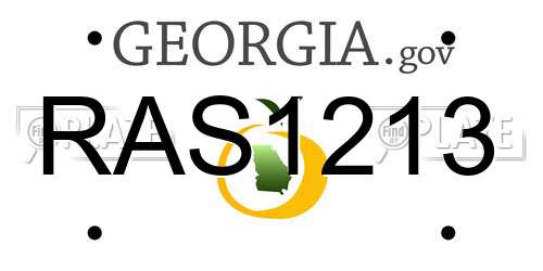 RAS1213 Georgia License Plate