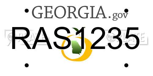 RAS1235 Georgia License Plate