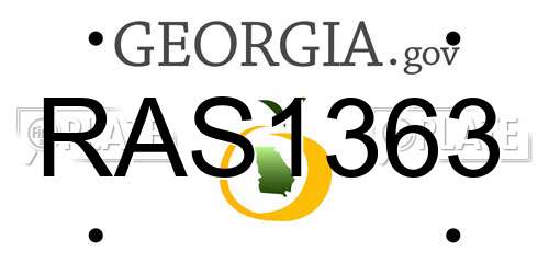 RAS1363 Georgia License Plate