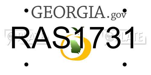RAS1731 Georgia License Plate