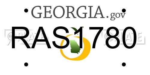 RAS1780 Georgia License Plate