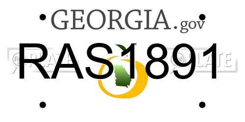 RAS1891 Georgia License Plate