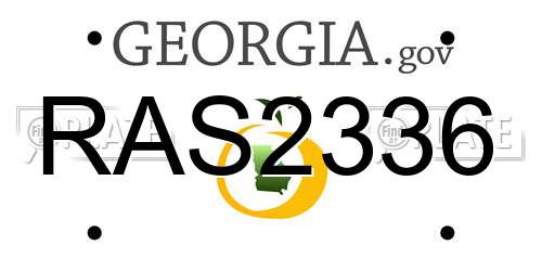 RAS2336 Georgia License Plate