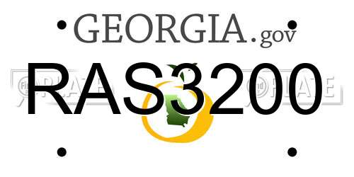 RAS3200 Georgia License Plate