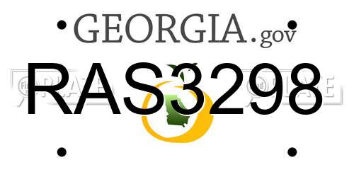 RAS3298 Georgia License Plate
