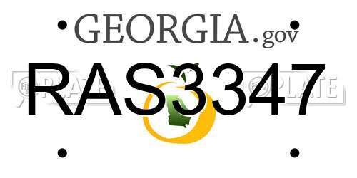 RAS3347 Georgia License Plate