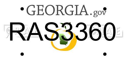 RAS3360 Georgia License Plate