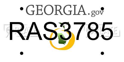 RAS3785 Georgia License Plate
