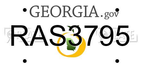 RAS3795 Georgia License Plate