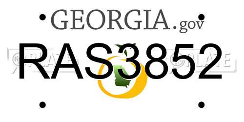 RAS3852 Georgia License Plate
