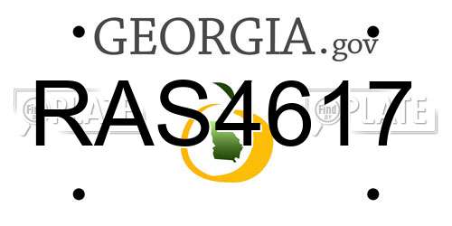 RAS4617 Georgia License Plate