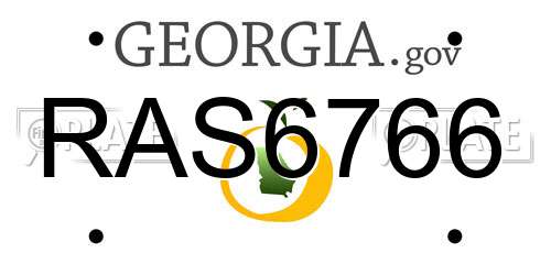 RAS6766 Georgia License Plate