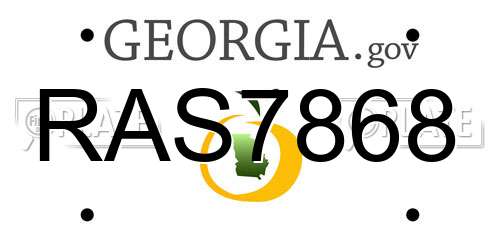 RAS7868 Georgia License Plate