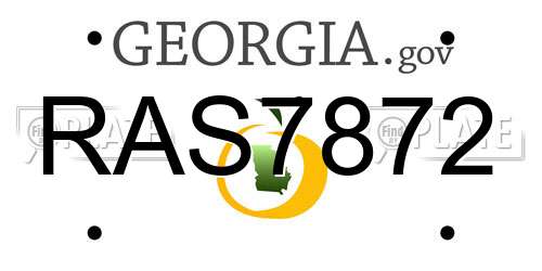 RAS7872 Georgia License Plate