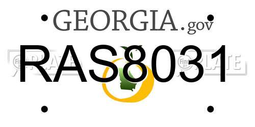 RAS8031 Georgia License Plate