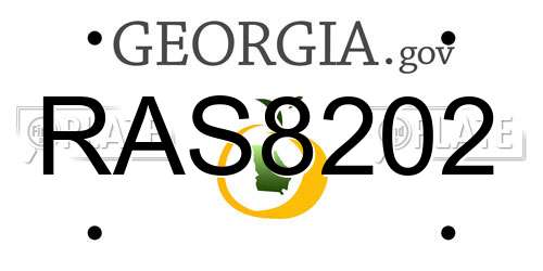 RAS8202 Georgia License Plate
