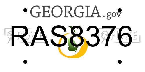 RAS8376 Georgia License Plate