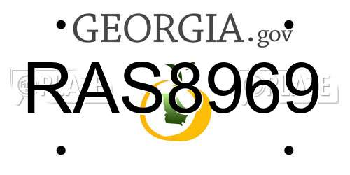 RAS8969 Georgia License Plate
