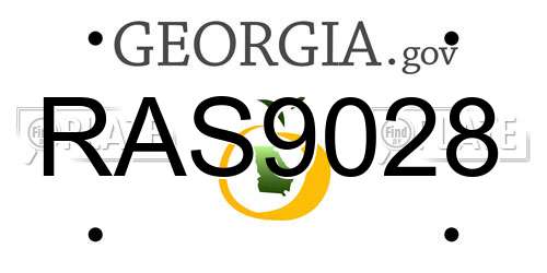 RAS9028 Georgia License Plate