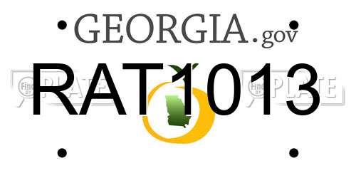 RAT1013 Georgia License Plate