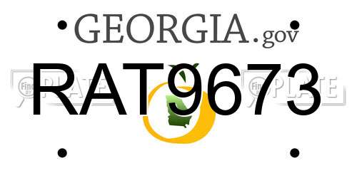 RAT9673 Georgia License Plate
