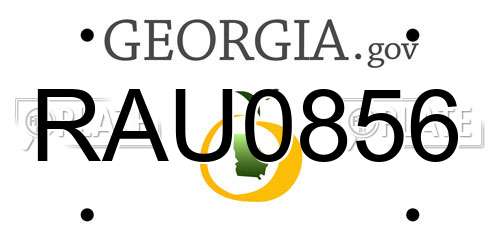 RAU0856 Georgia License Plate