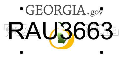 RAU3663 Georgia License Plate