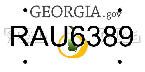 RAU6389 Georgia License Plate