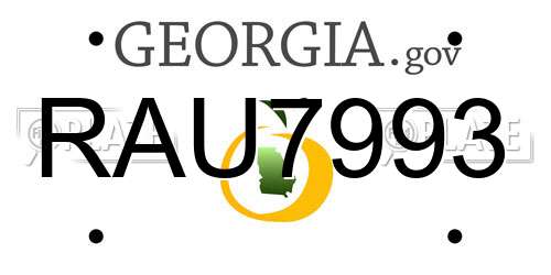RAU7993 Georgia License Plate