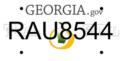 RAU8544 Georgia License Plate