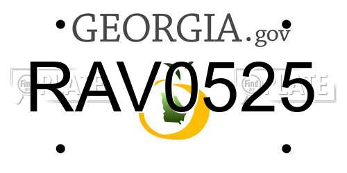 RAV0525 Georgia License Plate