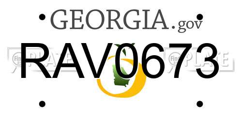 RAV0673 Georgia License Plate