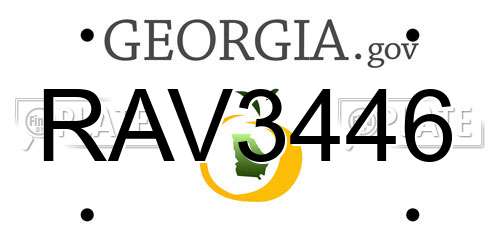 RAV3446 Georgia License Plate